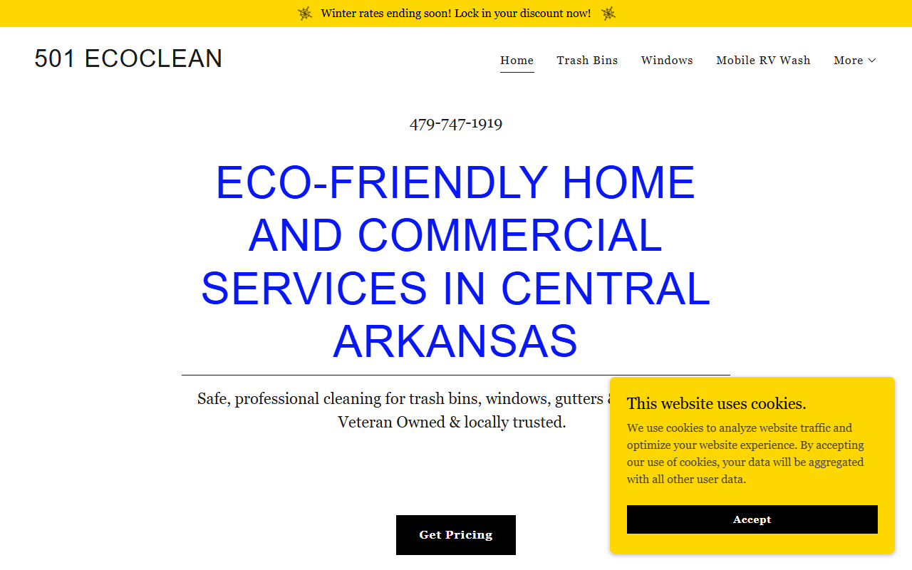 501ecoclean.com screenshot