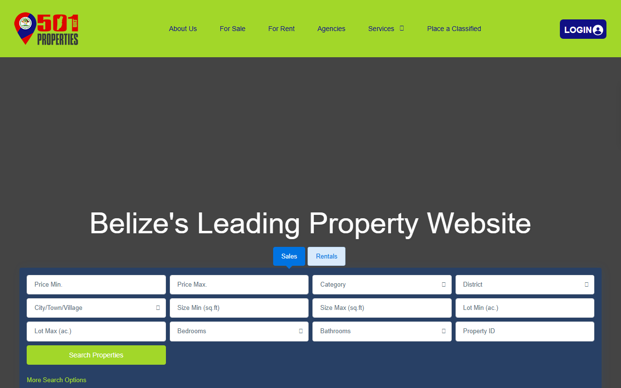 501properties.com screenshot
