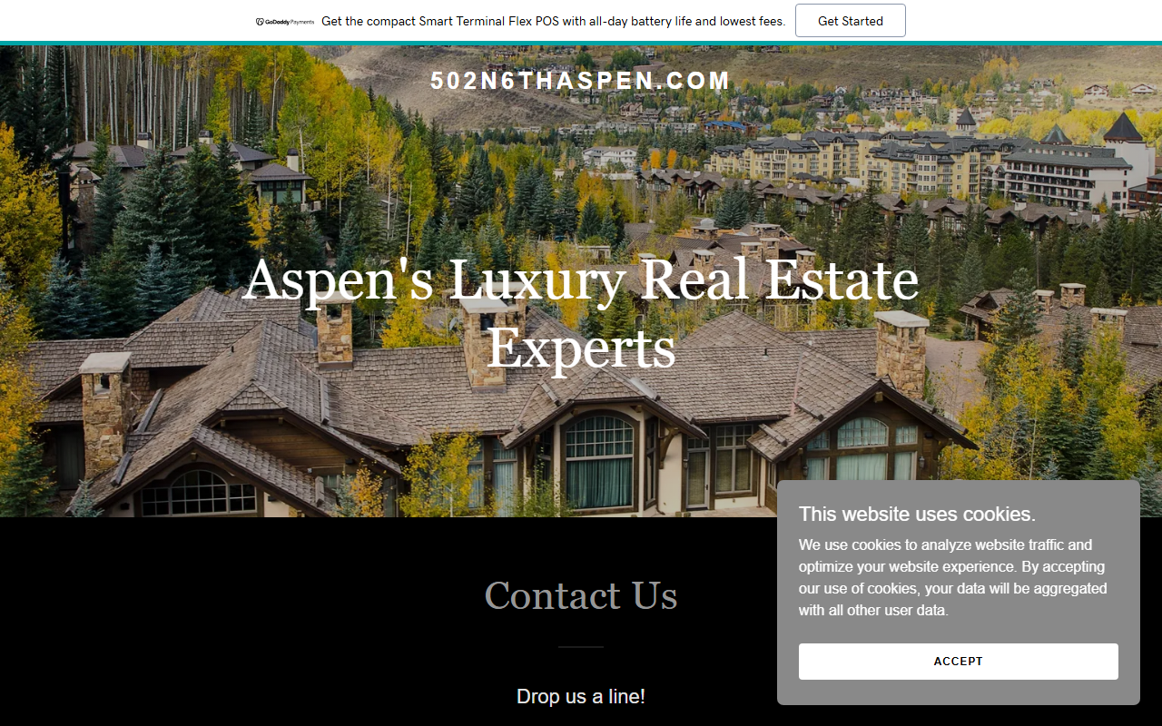 502n6thaspen.com screenshot