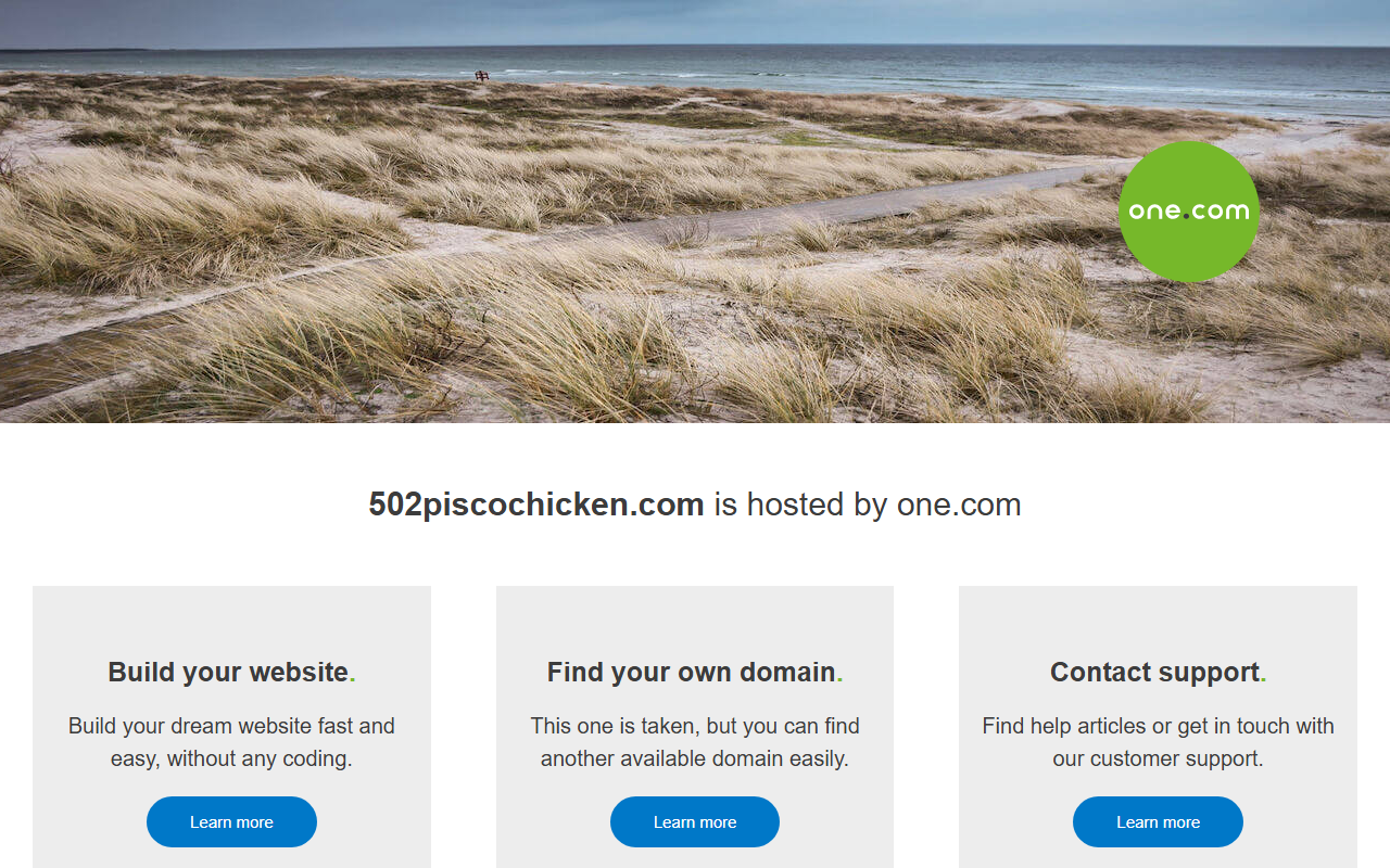 502piscochicken.com screenshot