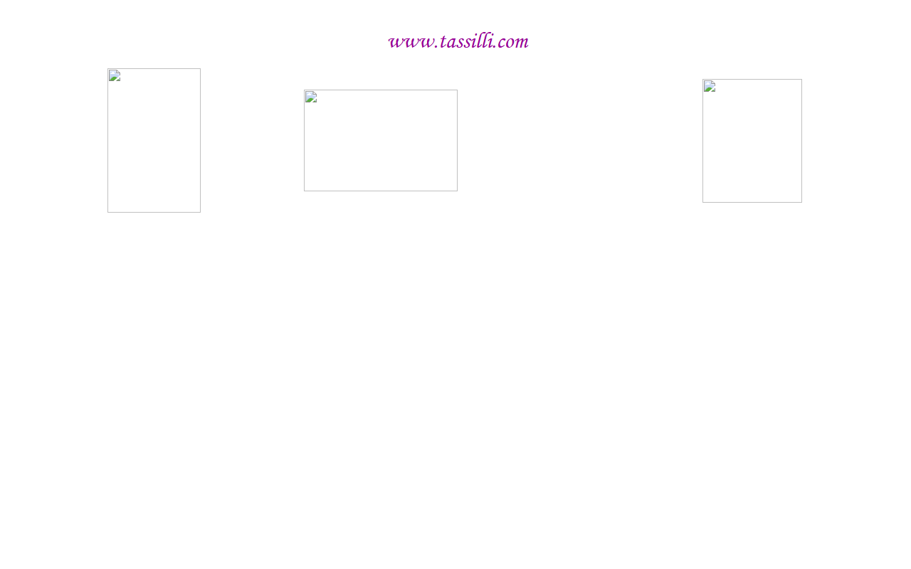 5037digginstrail.com screenshot