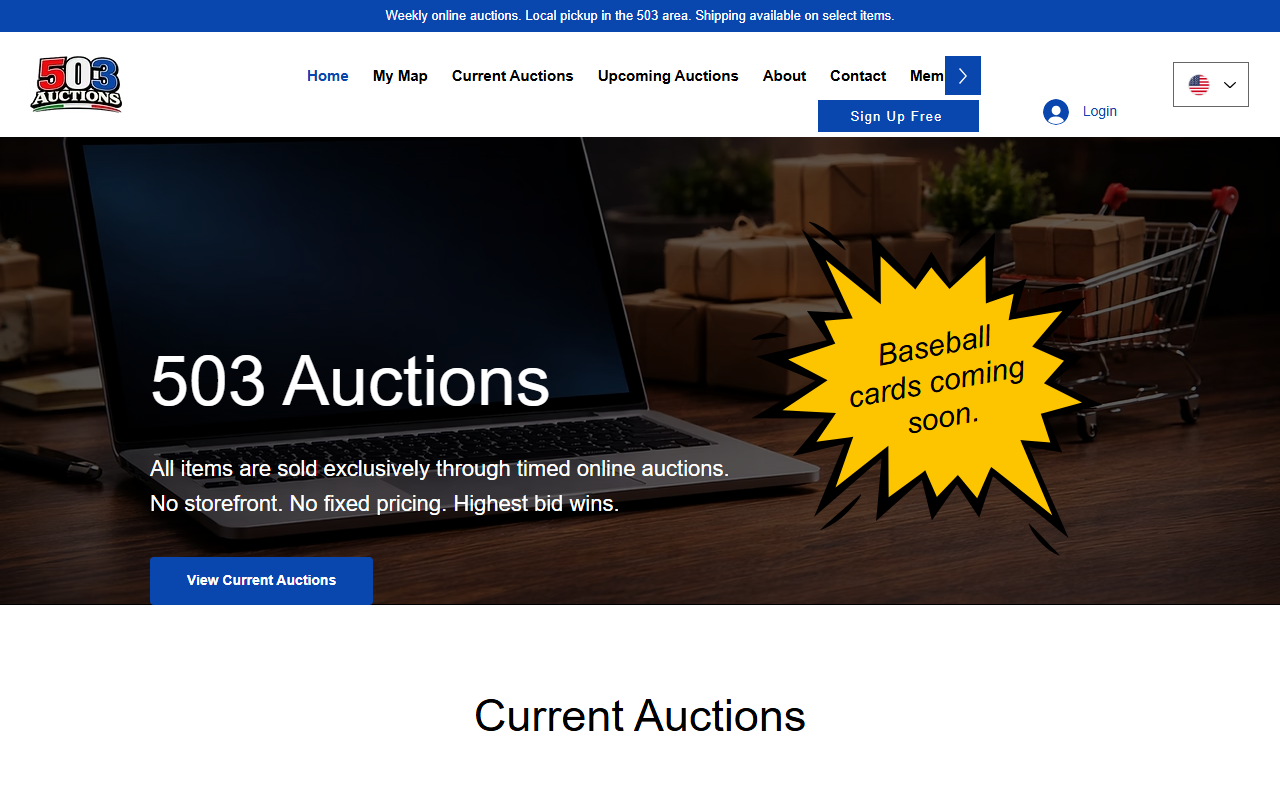 503auctions.com screenshot