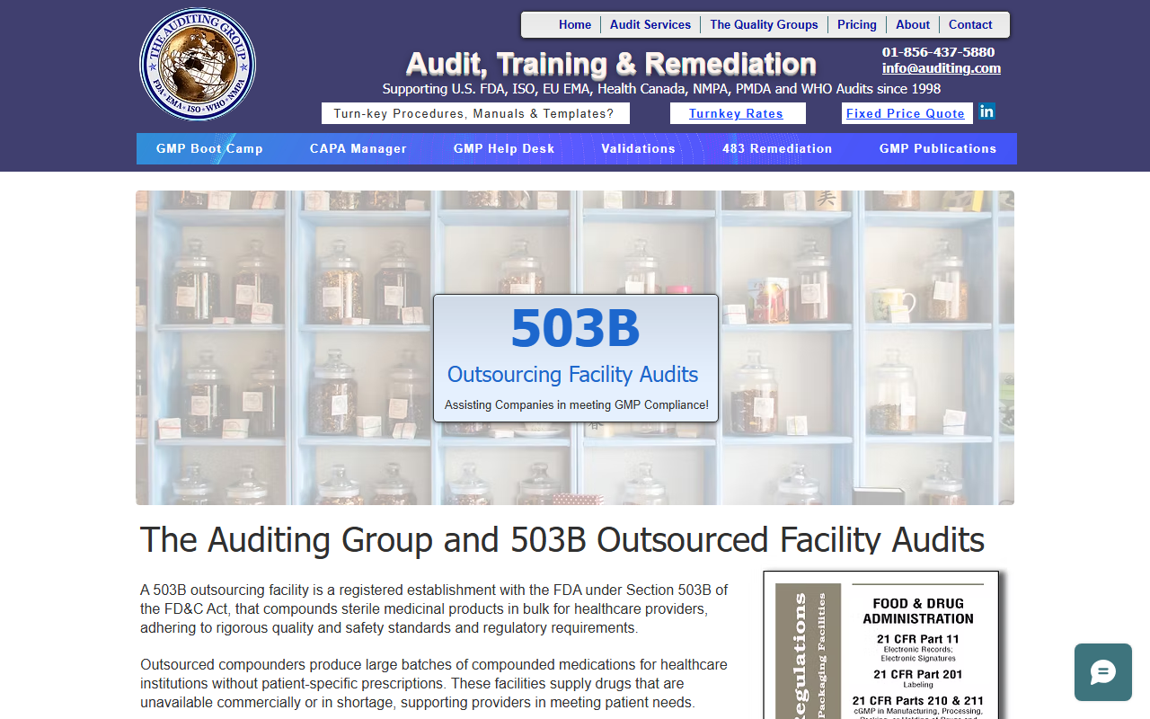 503baudits.com screenshot