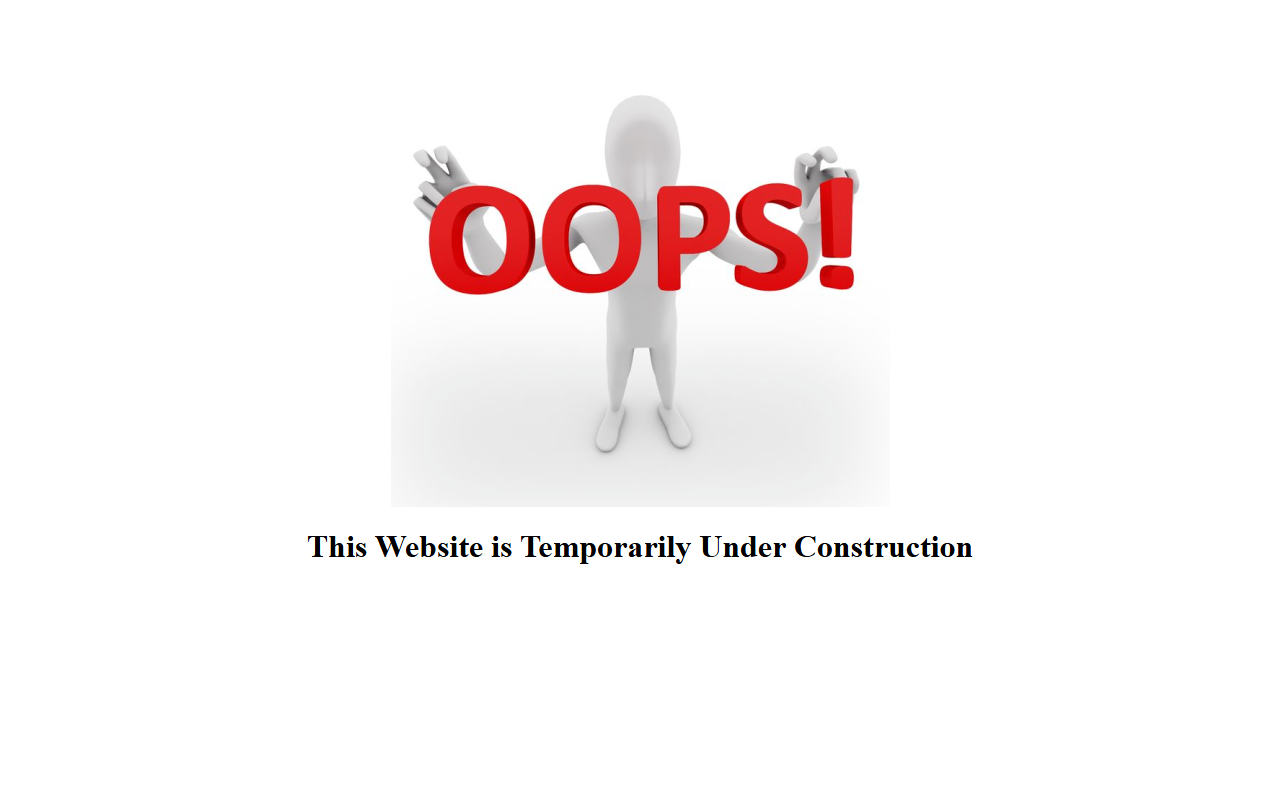 503computerguys.com screenshot