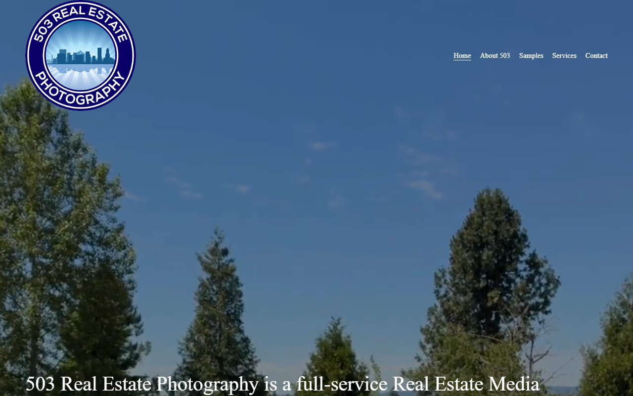 503rephotography.com screenshot