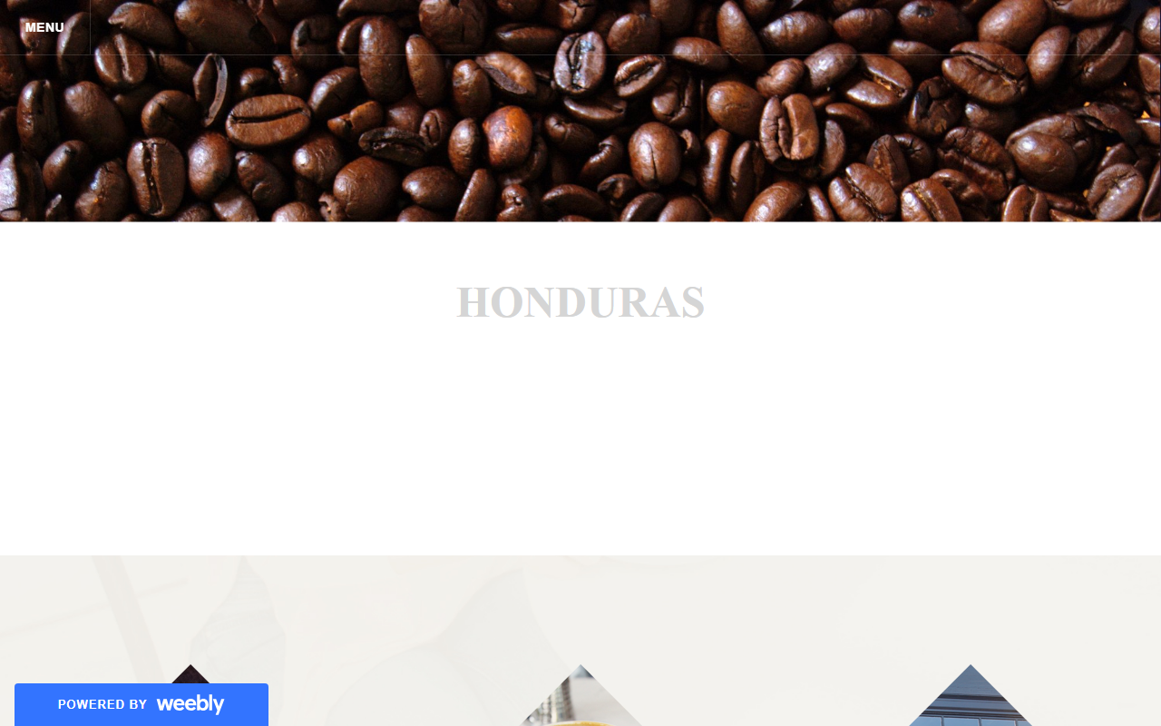 504exporta.com screenshot