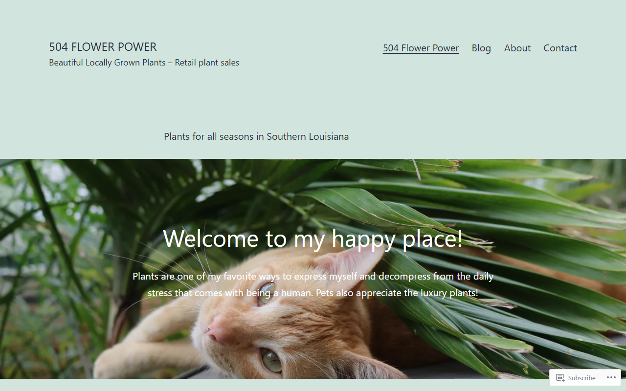 504flowerpower.com screenshot