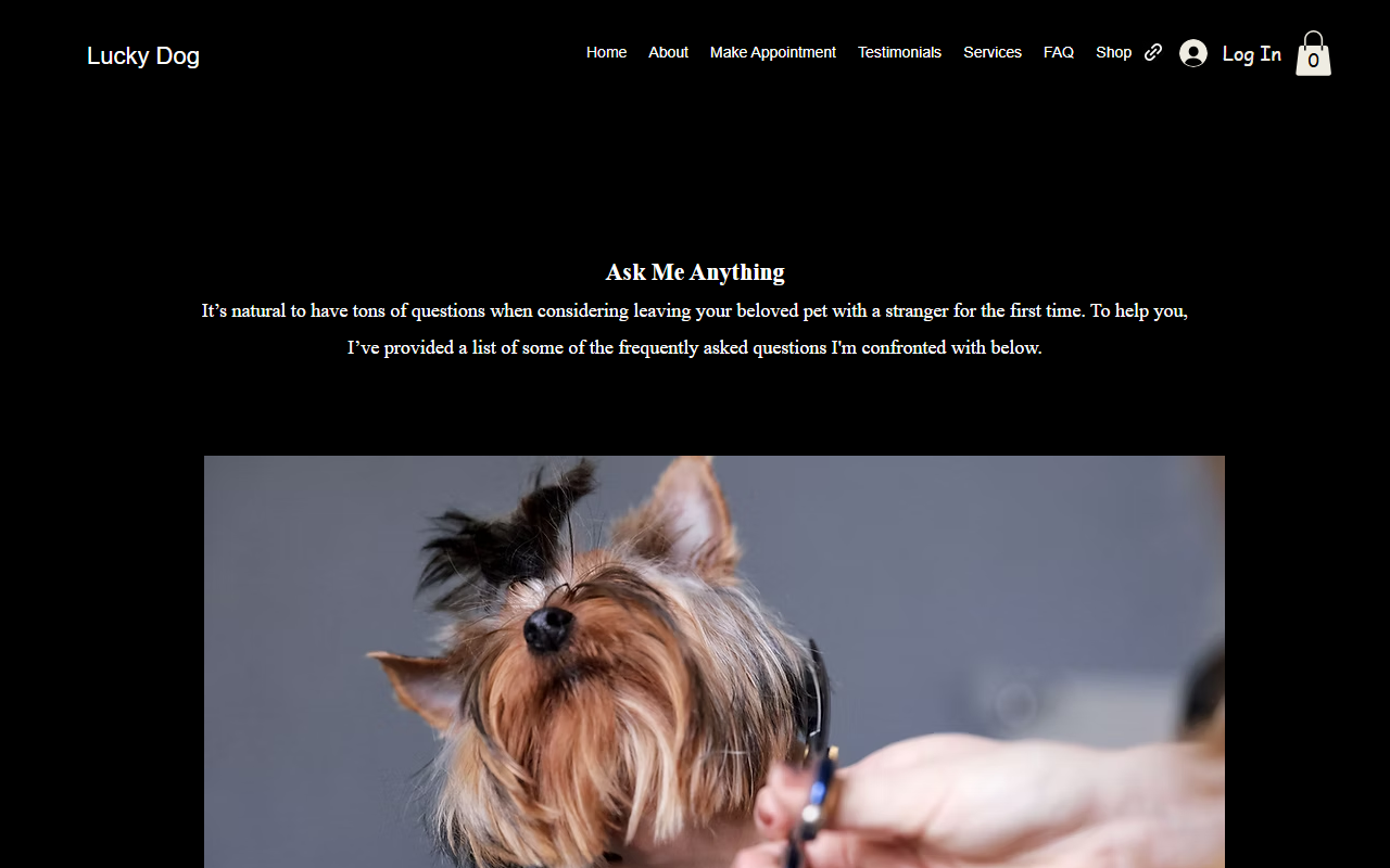 509luckydog.com screenshot