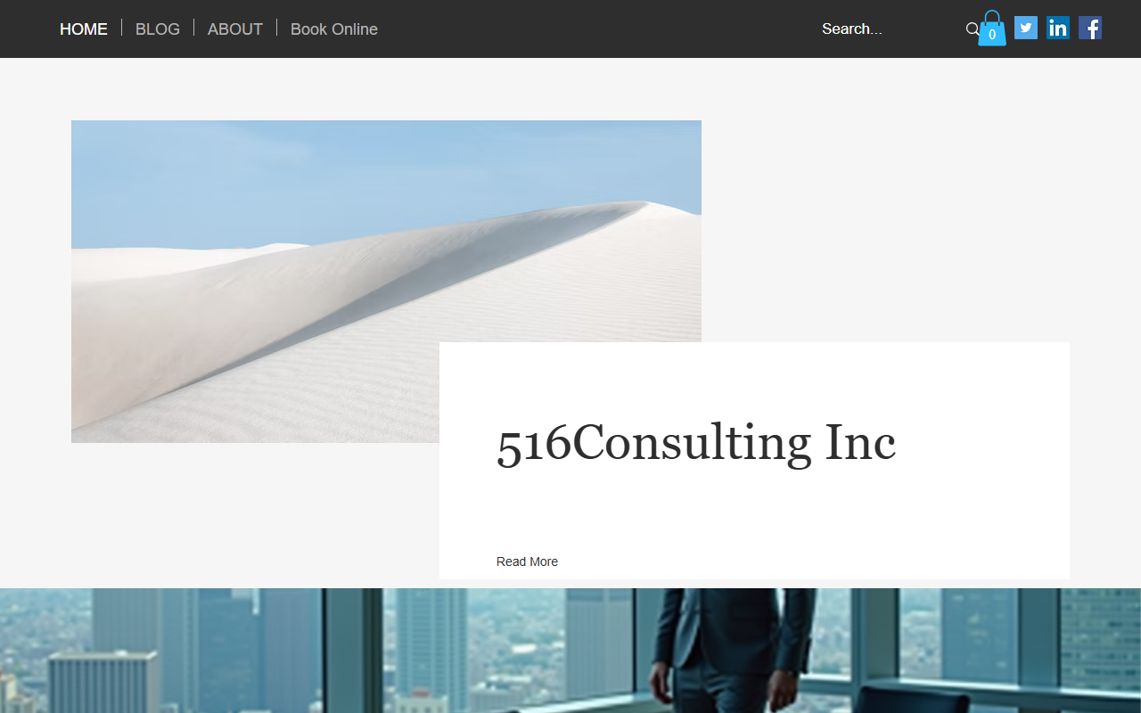 516consulting.com screenshot
