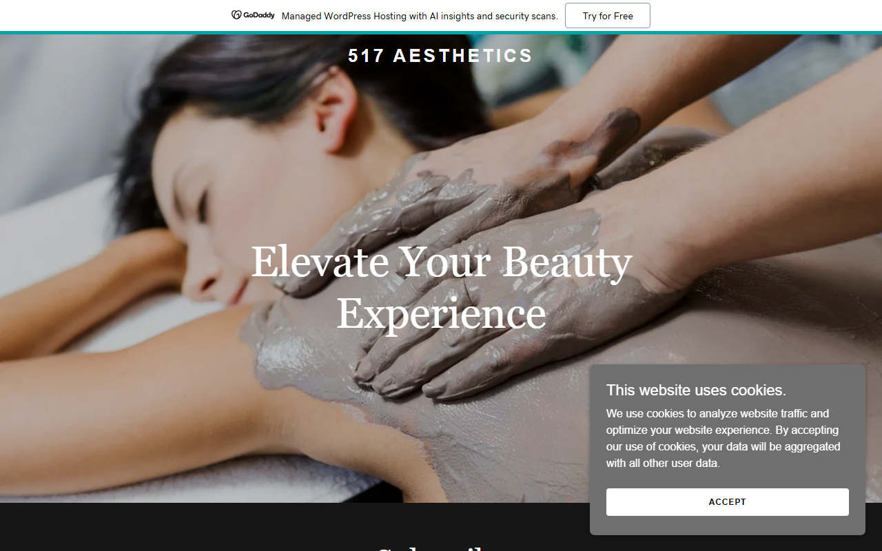 517aesthetics.com screenshot