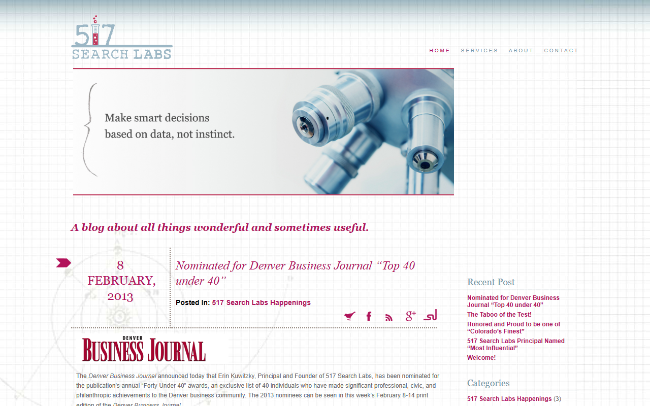 517searchlabs.com screenshot