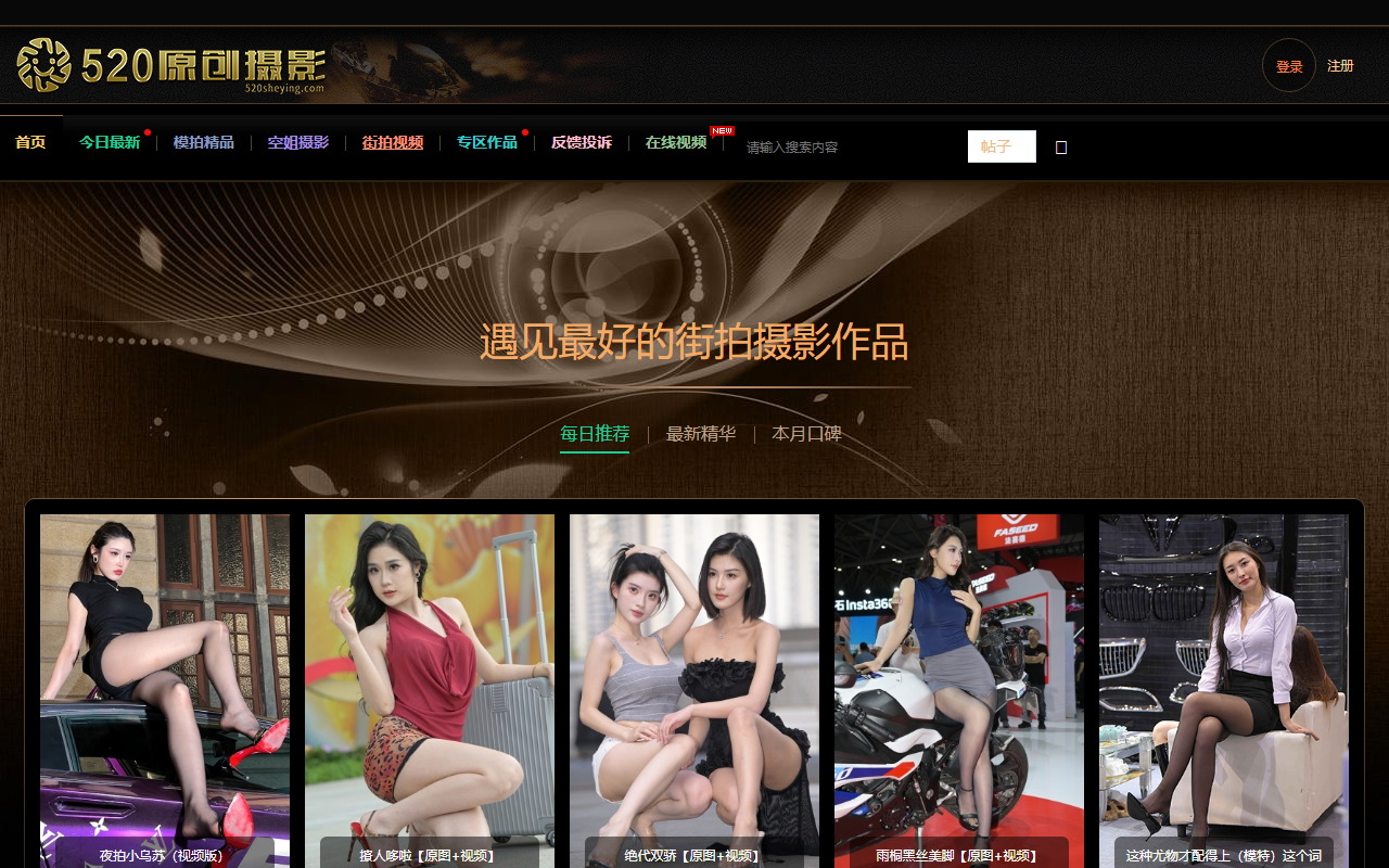 520sheying.com screenshot