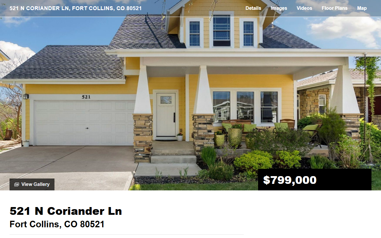 521coriander.com screenshot