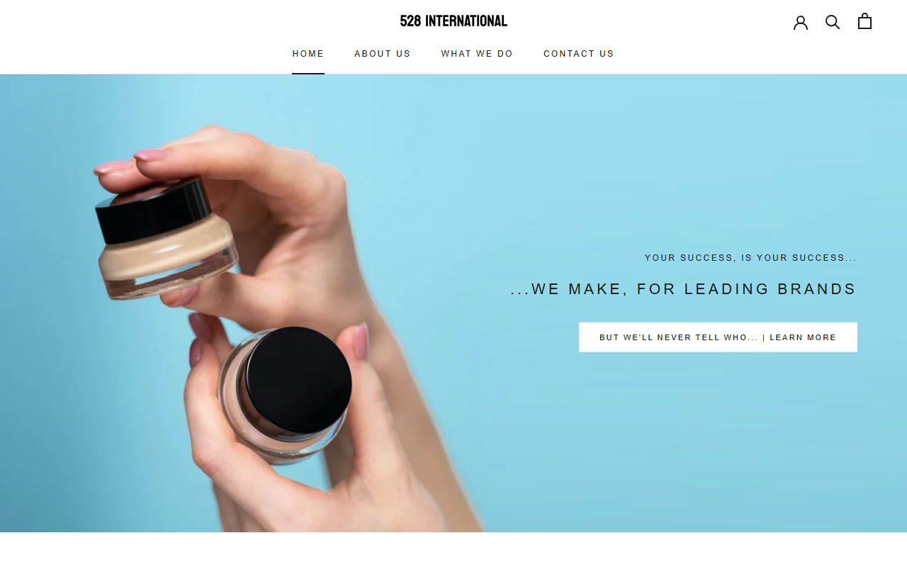 528international.com screenshot