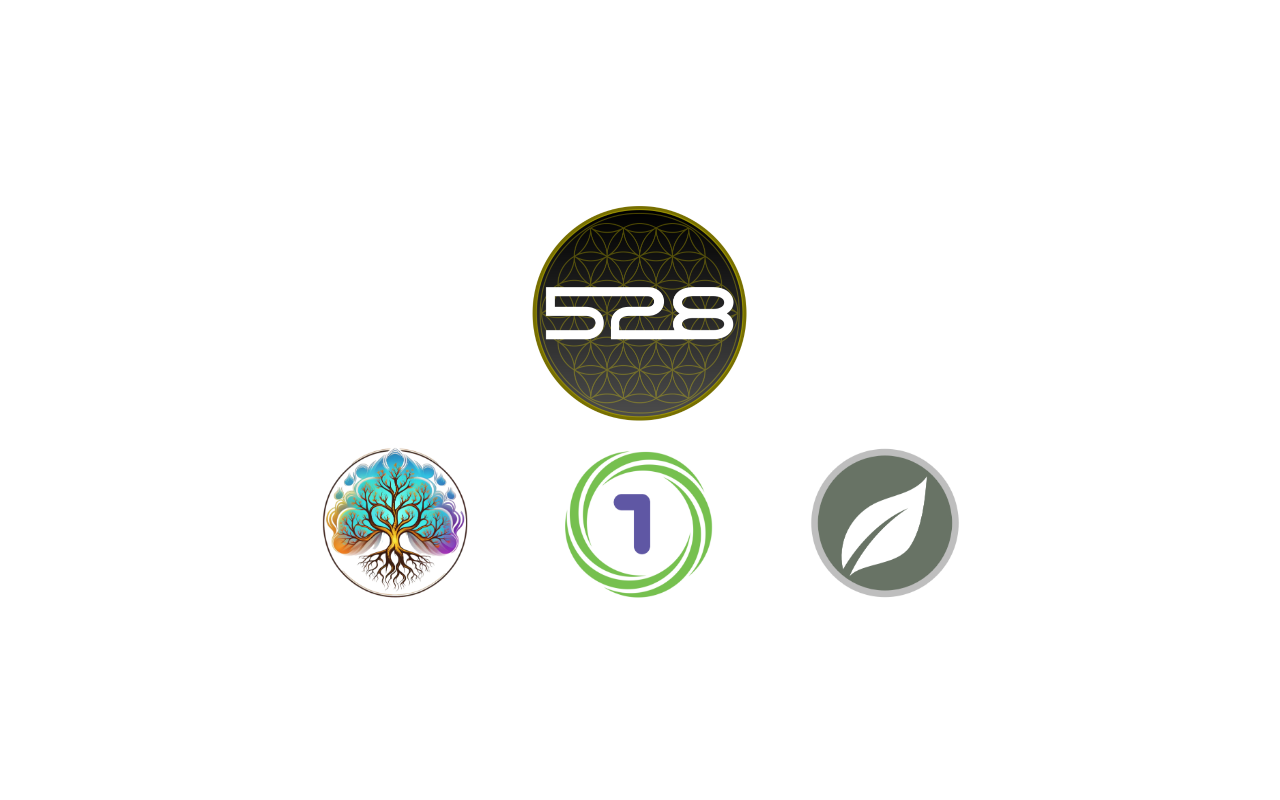 528investments.com screenshot