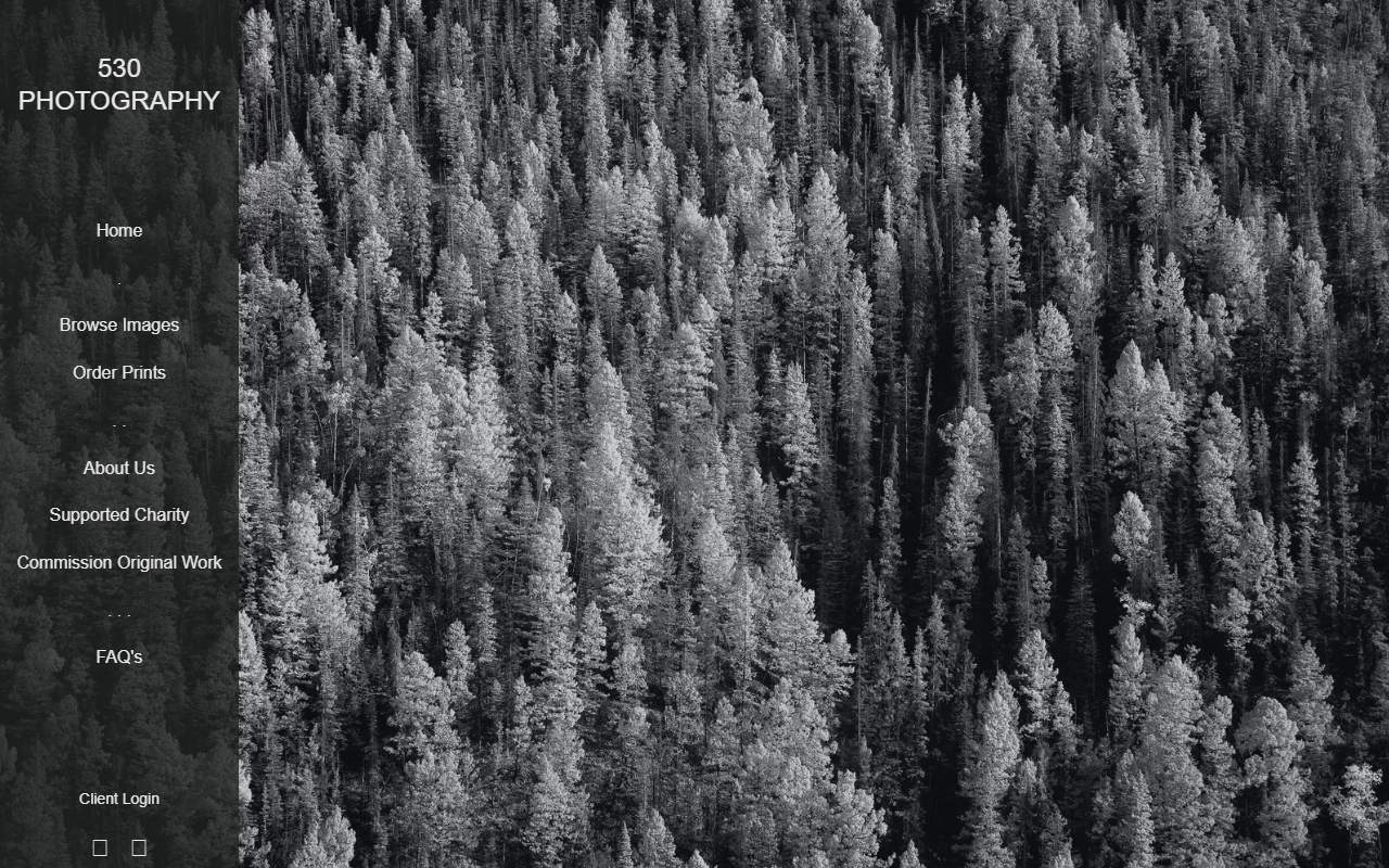 530photography.com screenshot