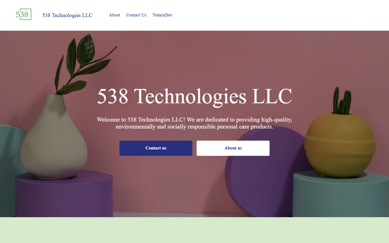 538technologies.com screenshot