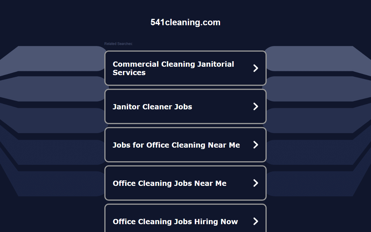 541cleaning.com screenshot