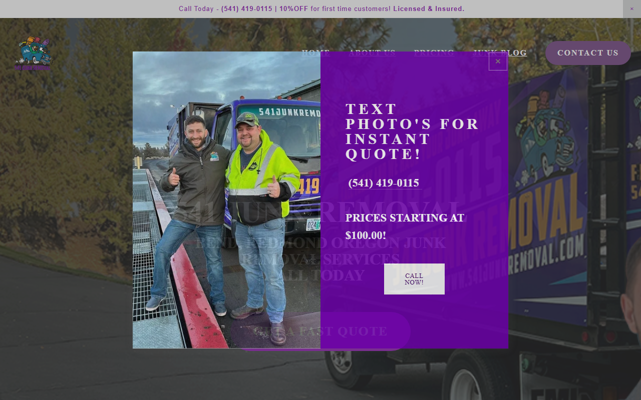 541junkremoval.com screenshot