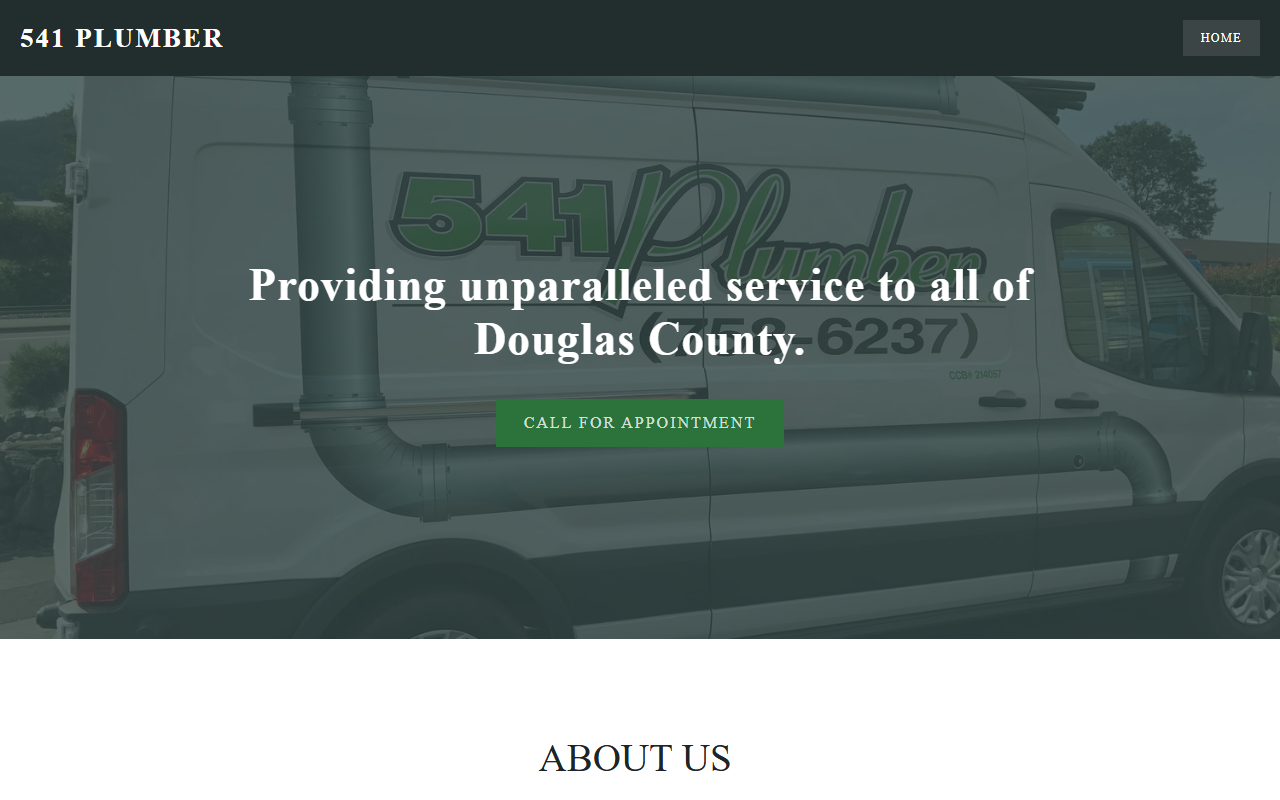 541plumber.com screenshot