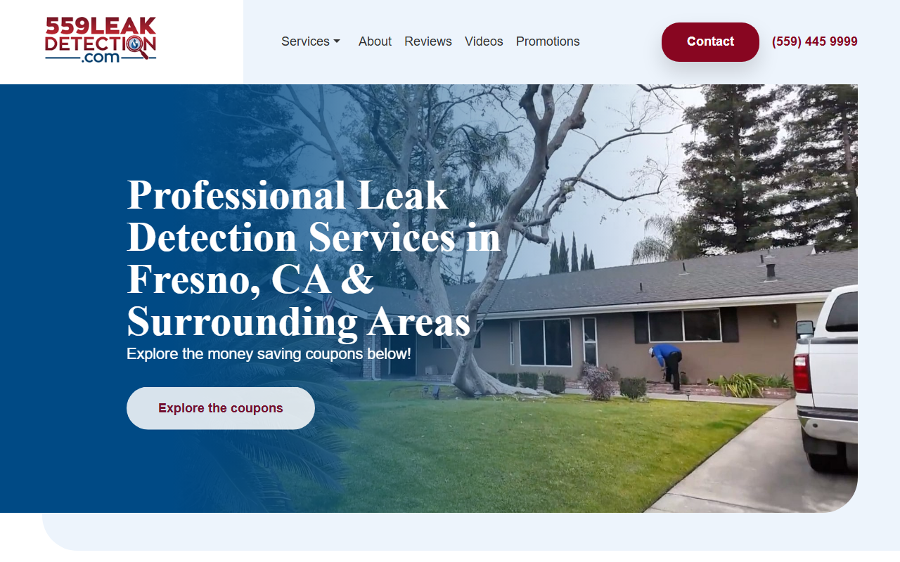 559leakdetection.com screenshot