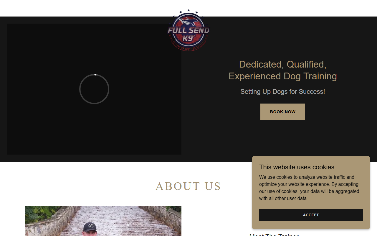 561dogtraining.com screenshot