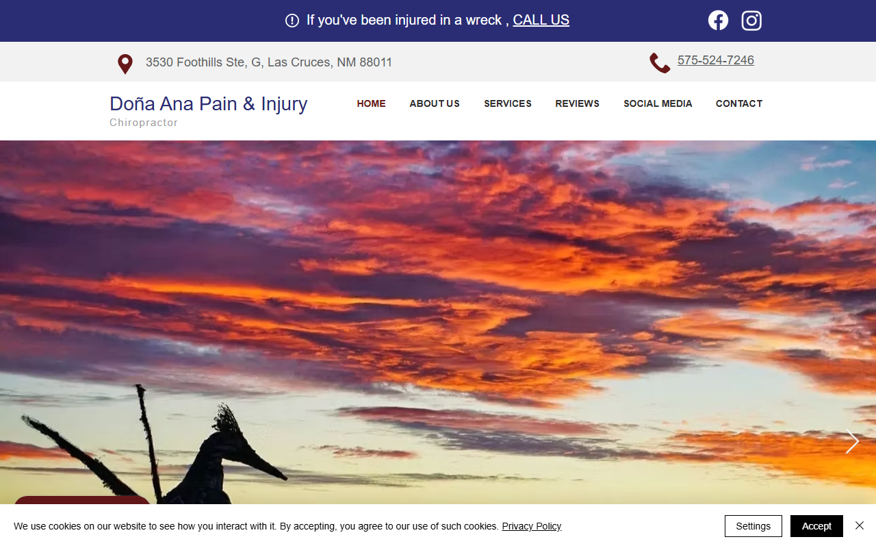 575paininjury.com screenshot