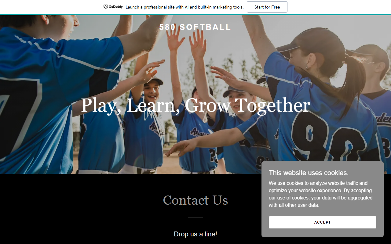 580softball.com screenshot