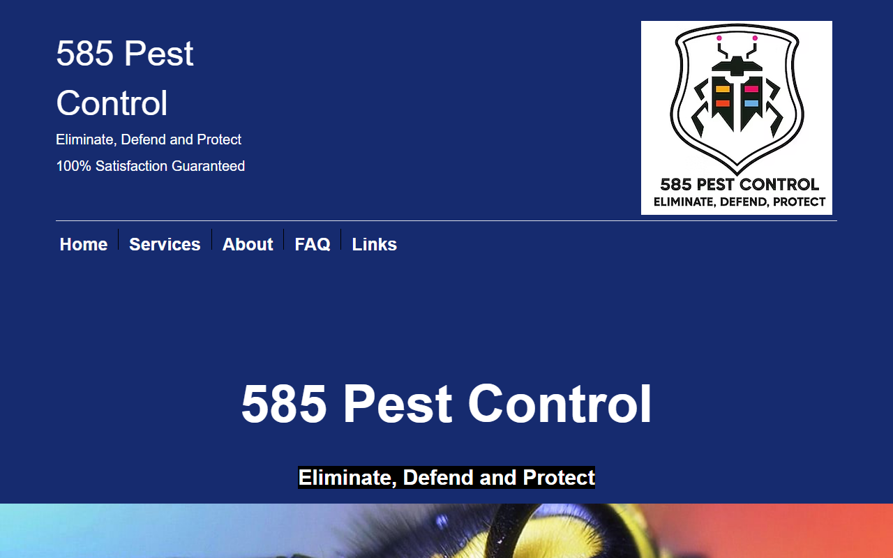 585pestcontrol.com screenshot