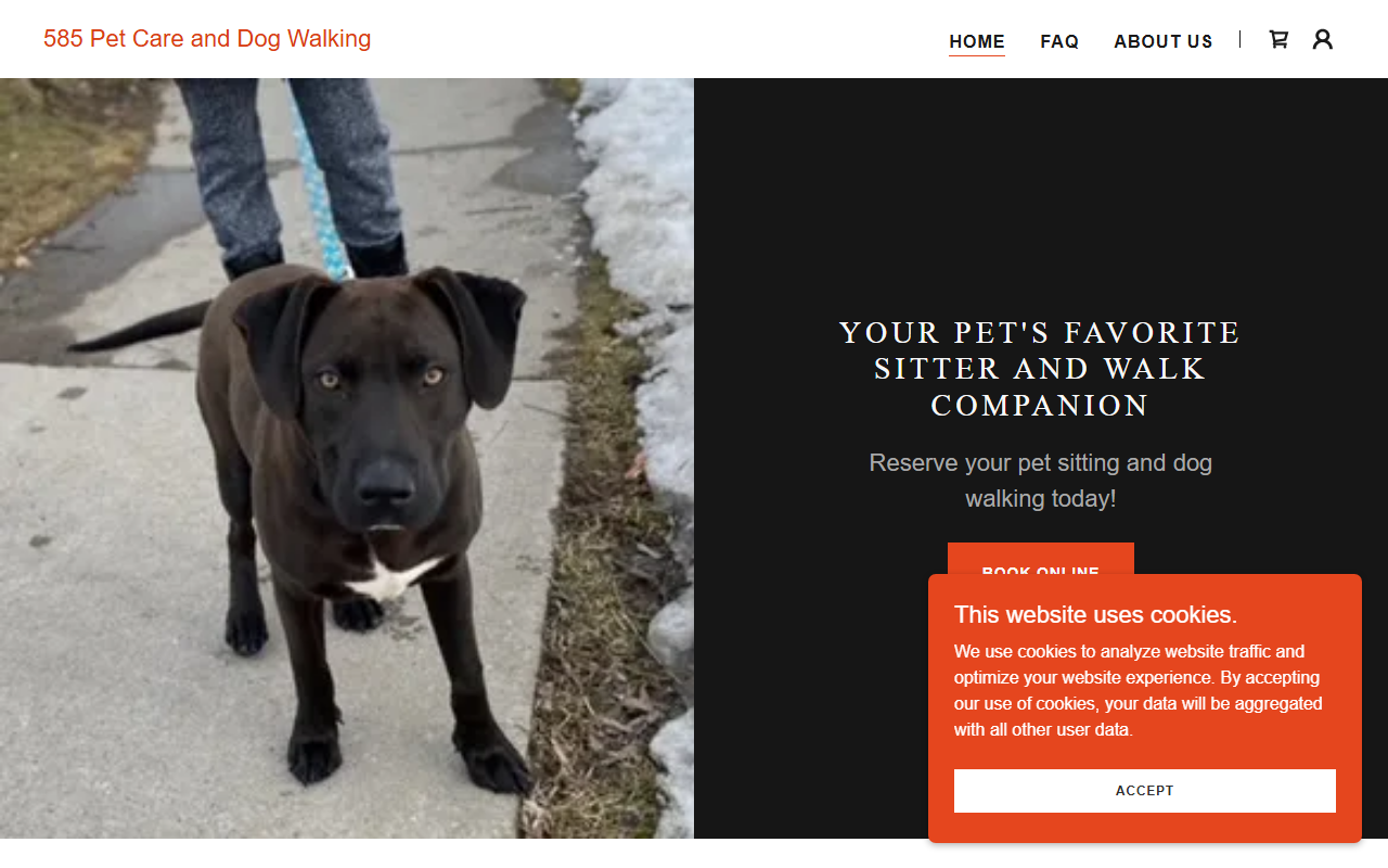 585petcare.com screenshot