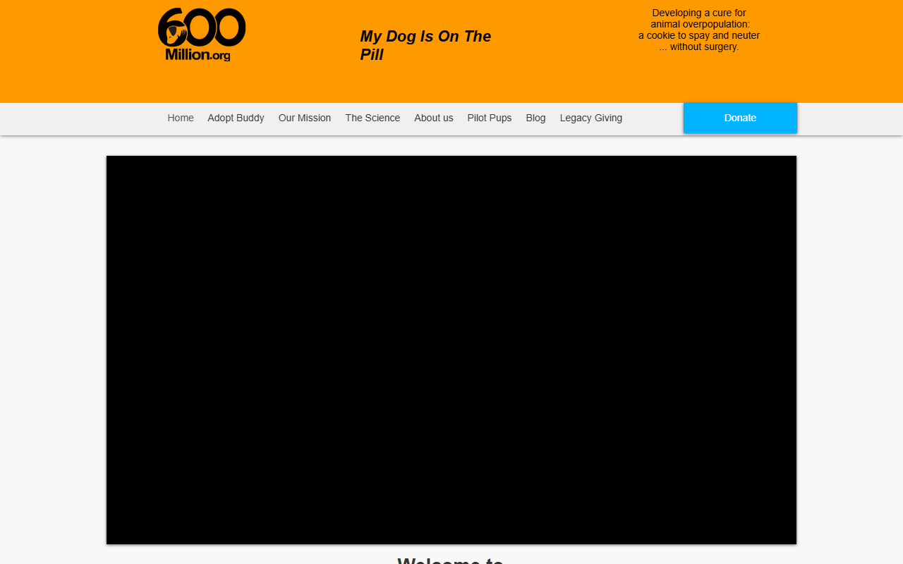 600million.com screenshot