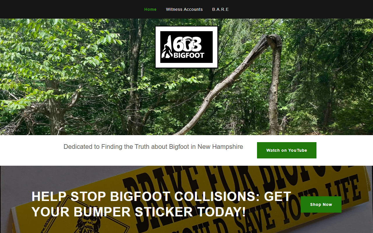 603bigfoot.com screenshot
