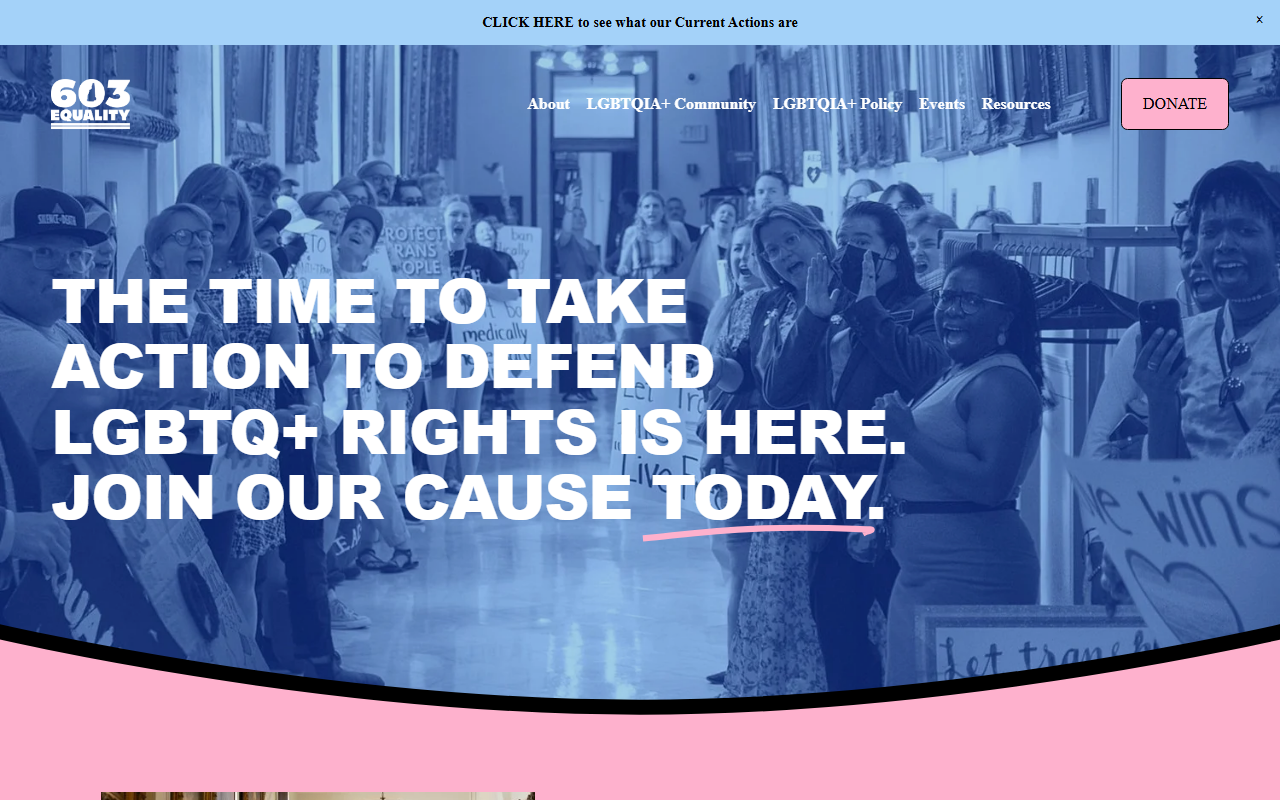 603equality.com screenshot