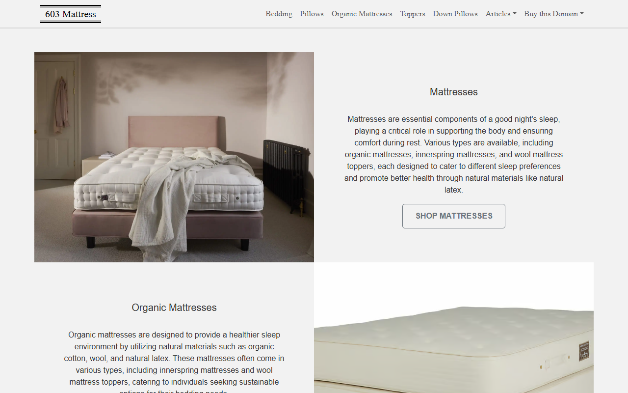 603mattress.com screenshot