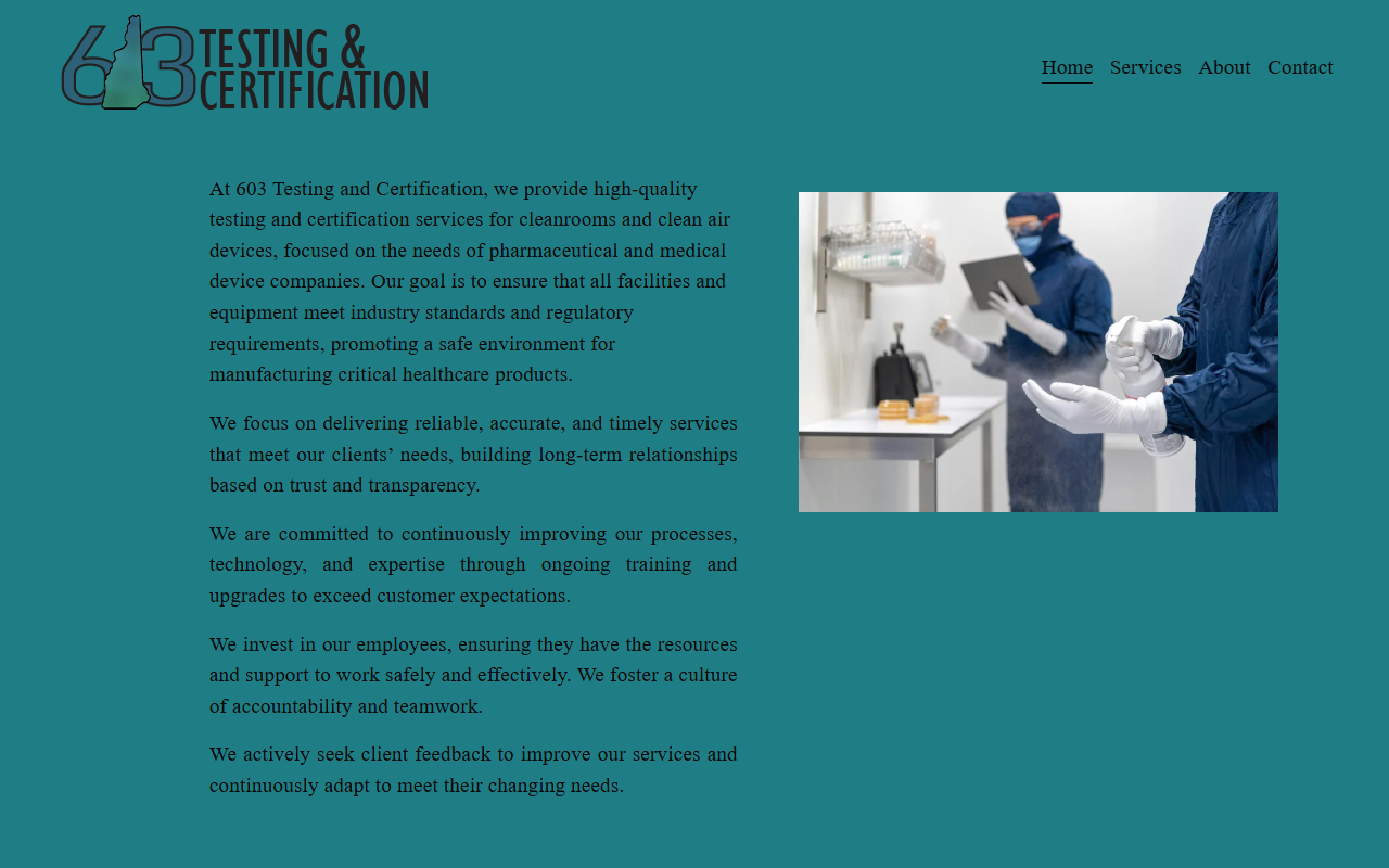603testing.com screenshot