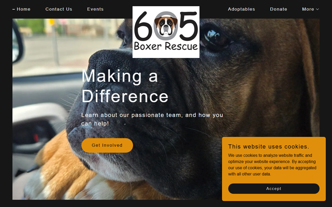 605boxerrescue.com screenshot