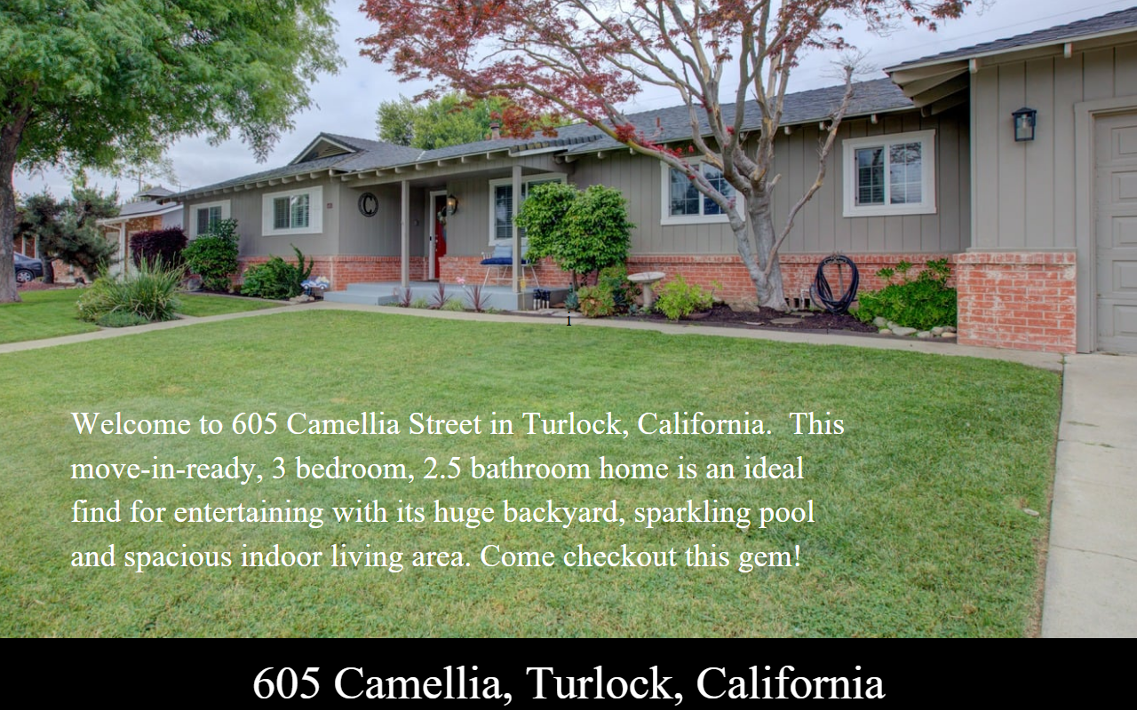 605camellia.com screenshot