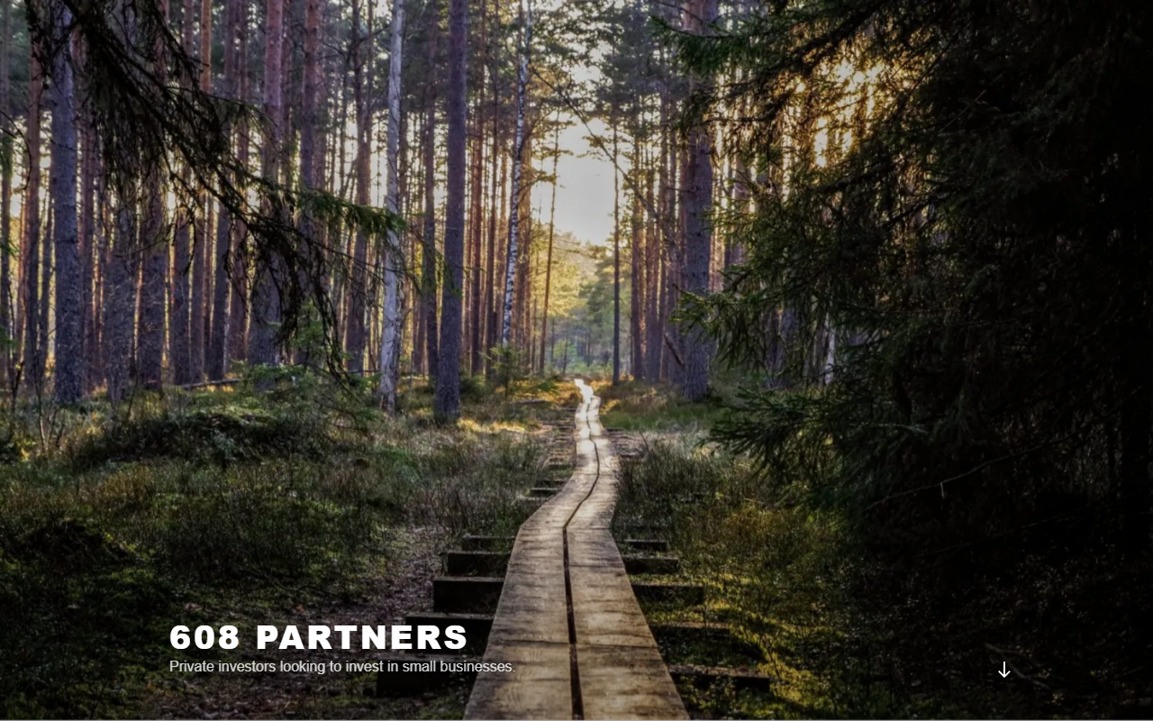 608partners.com screenshot