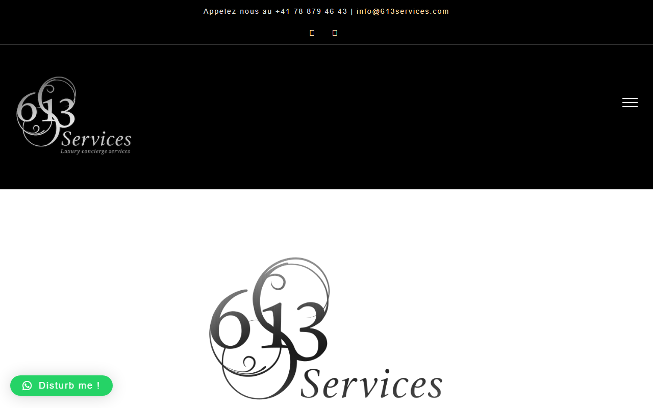 613services.com screenshot
