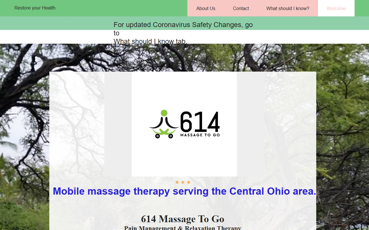 614massagetogo.com screenshot