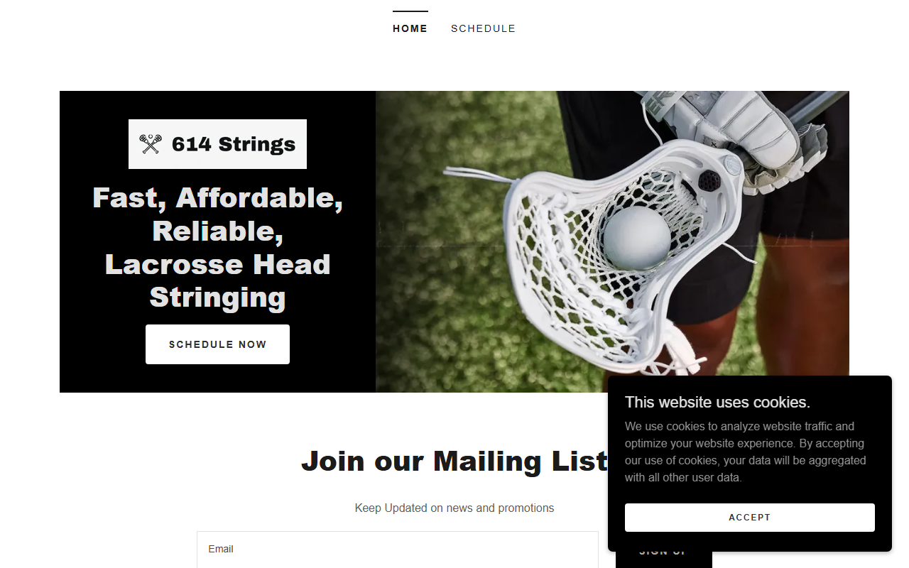 614strings.com screenshot