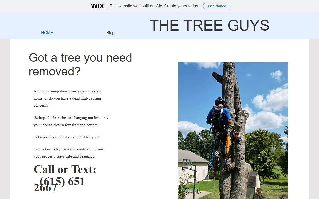 615treeguys.com screenshot