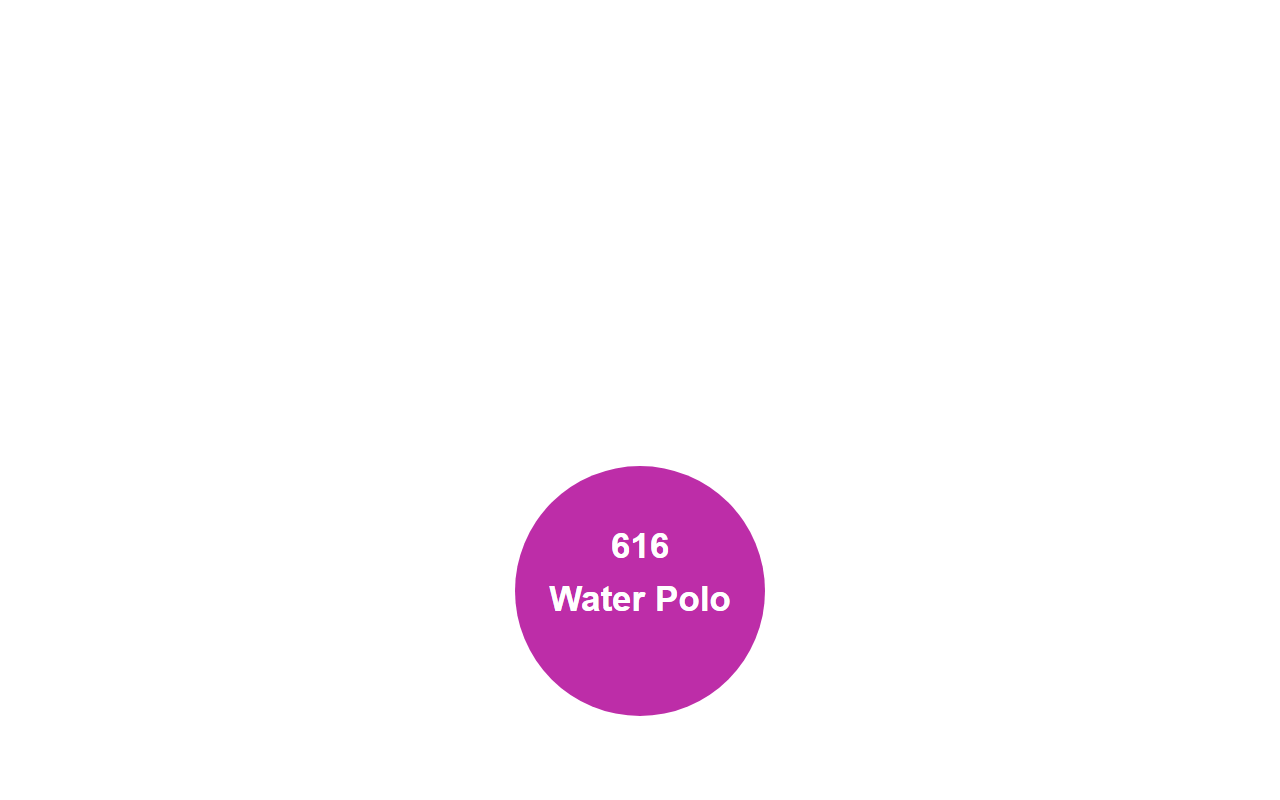 616waterpolo.com screenshot