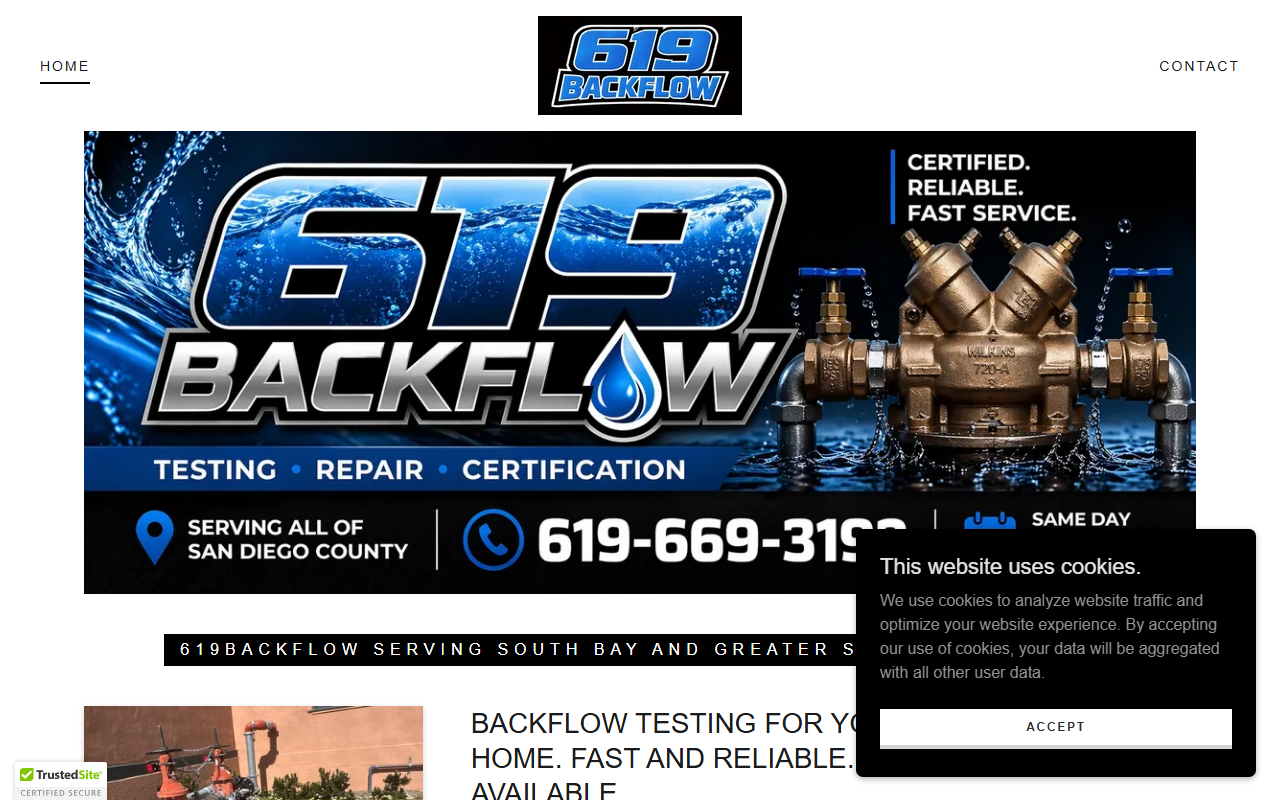 619backflow.com screenshot