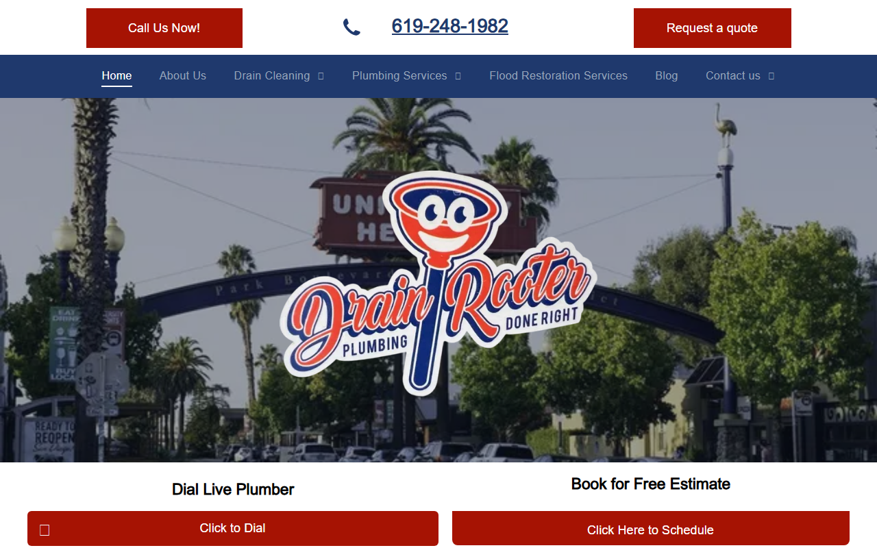 619plumbing.com screenshot