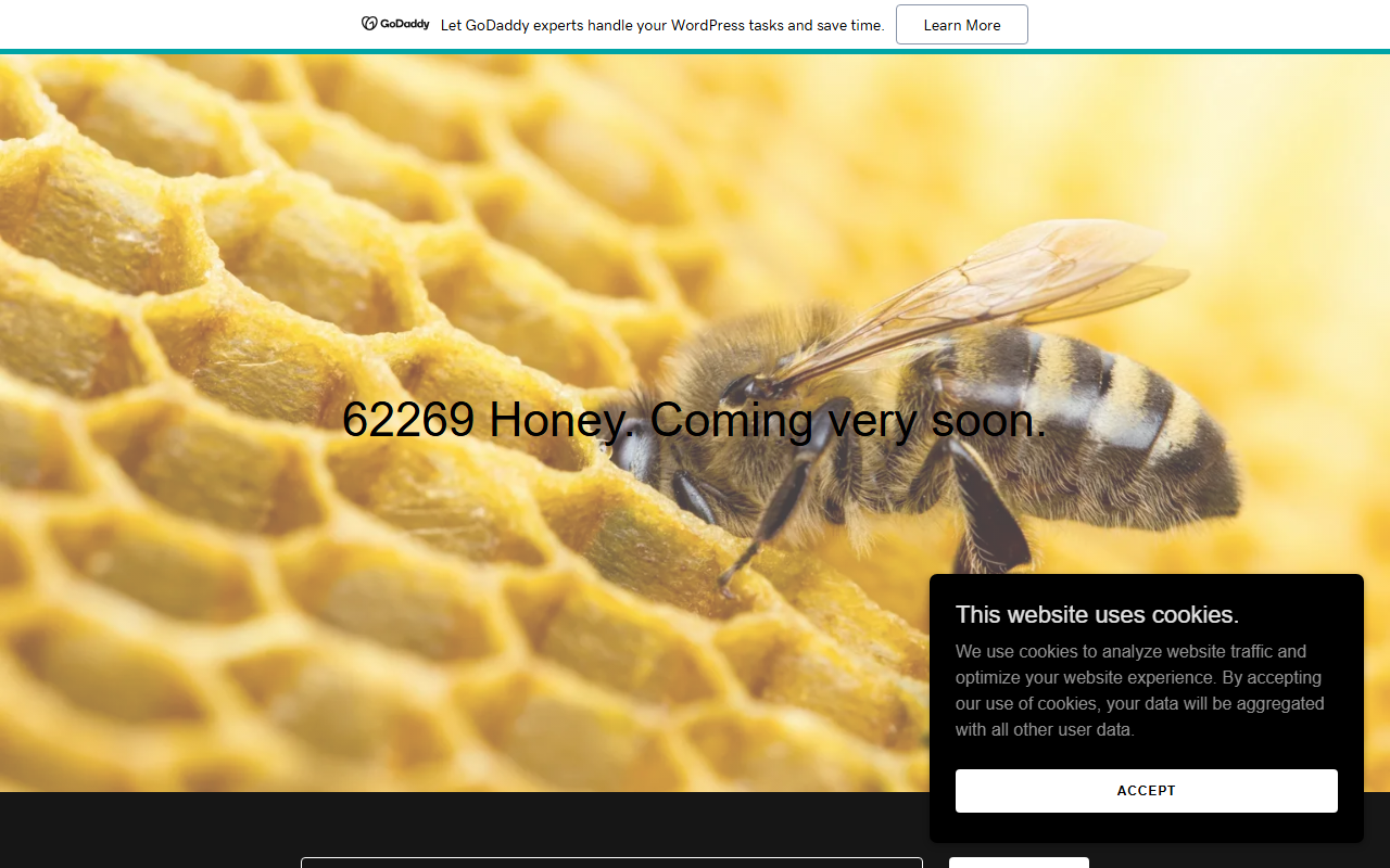 62269honey.com screenshot