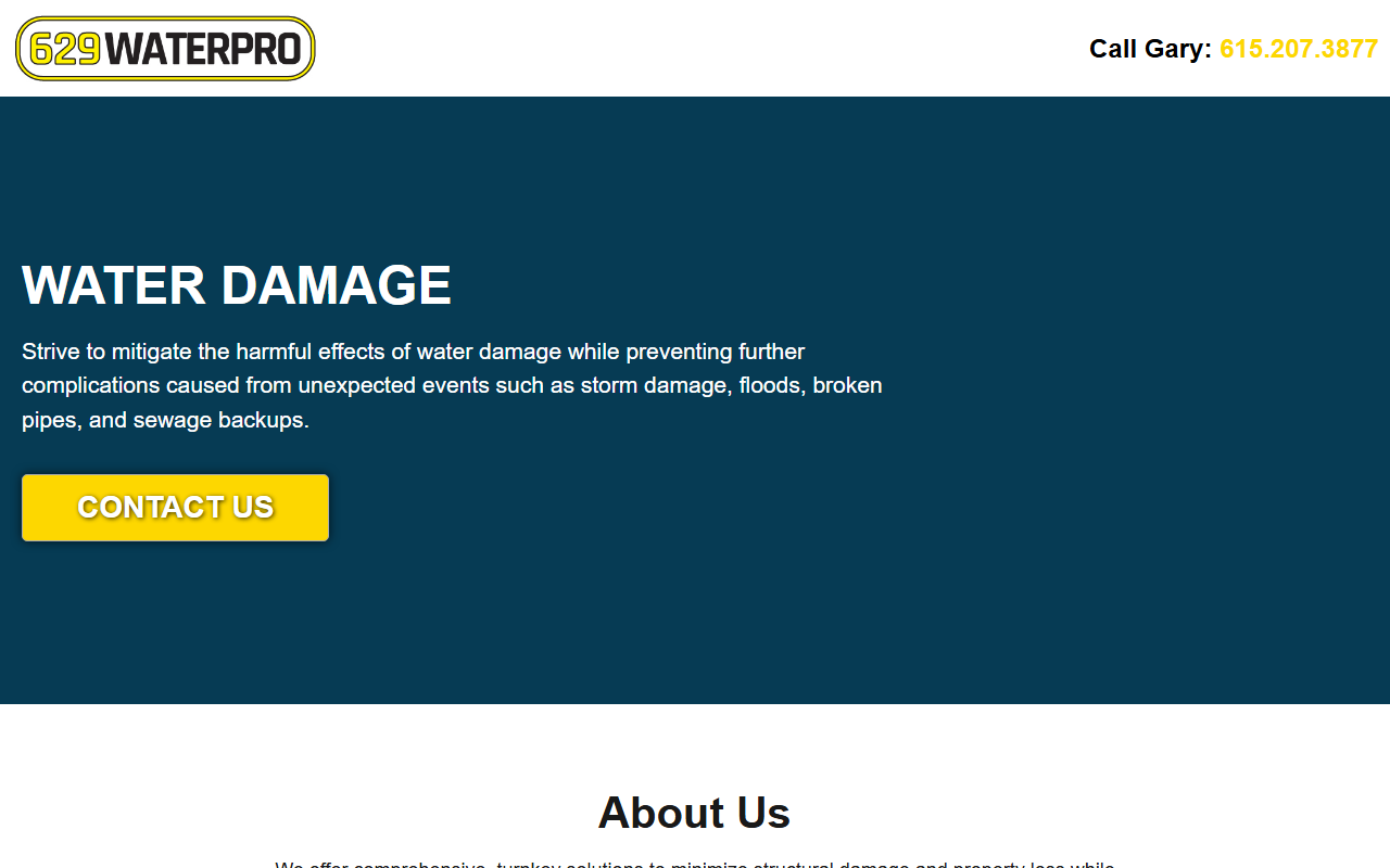 629waterpro.com screenshot