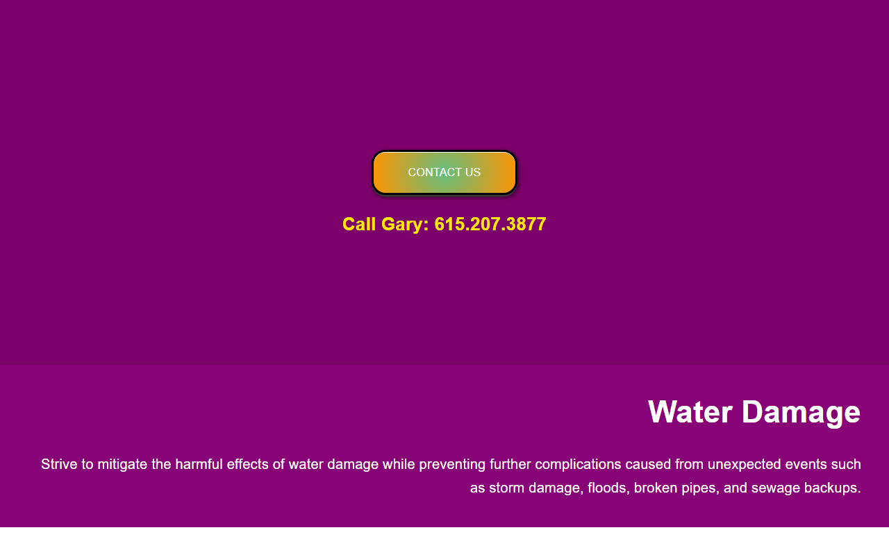 629waterpros.com screenshot