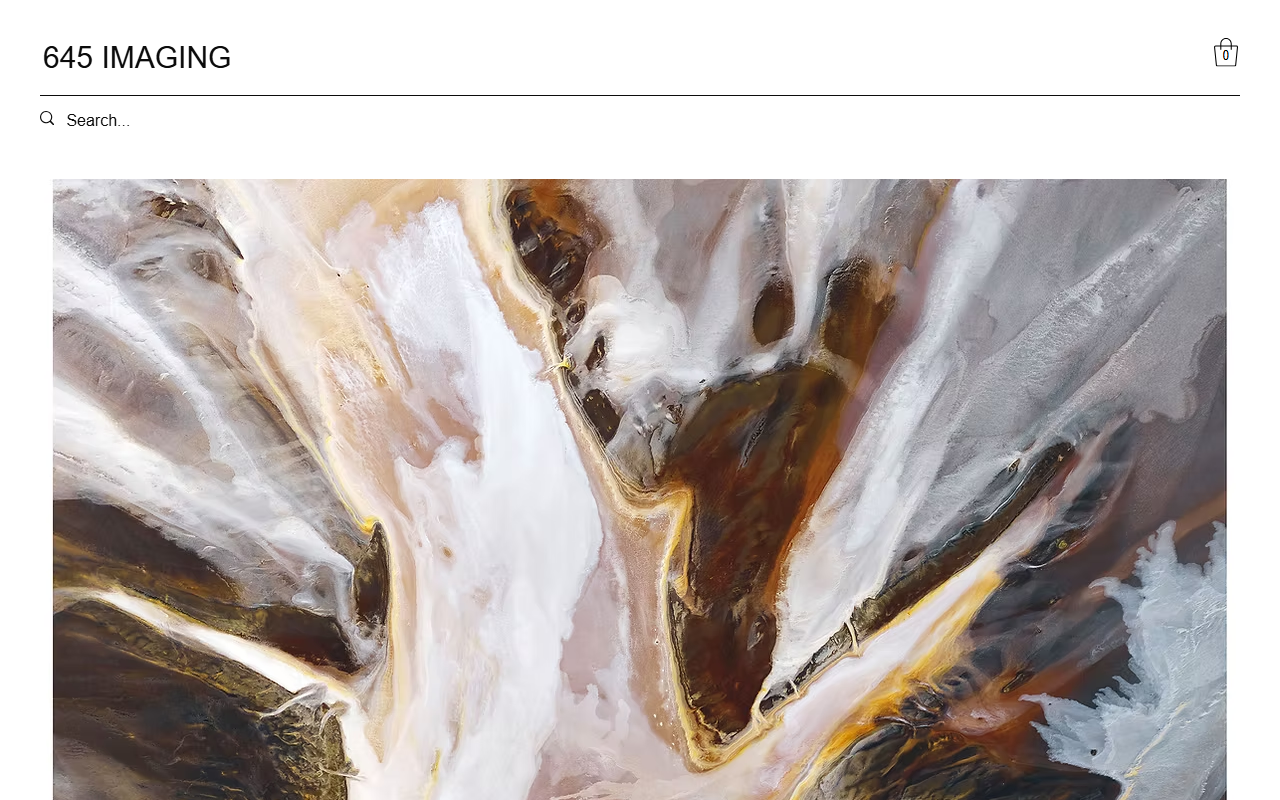 645imaging.com screenshot