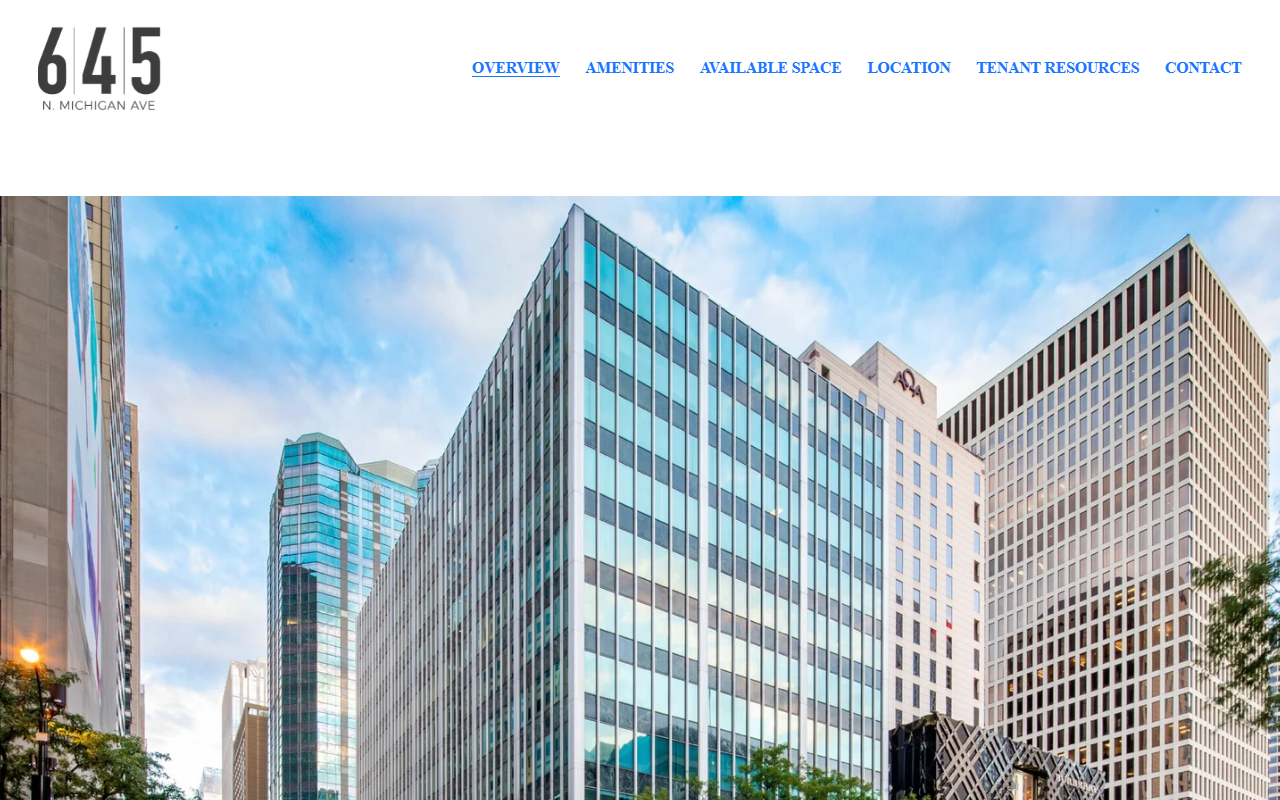 645nmichigan.com screenshot